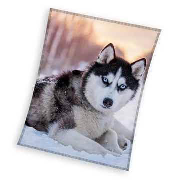 Kutyás Husky coral fleece polár takaró 150x200cm