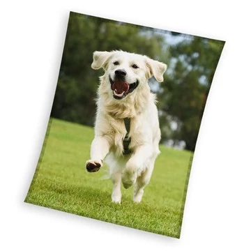 Kutyás Happytail Retriever coral fleece polár takaró 150x200cm