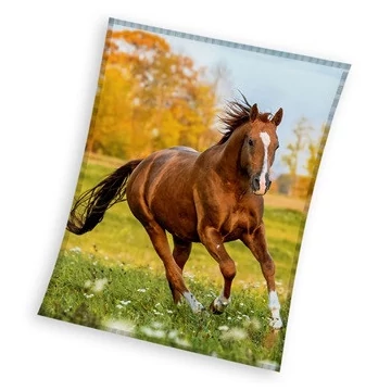 Lovas Gallop coral fleece polár takaró 150x200cm