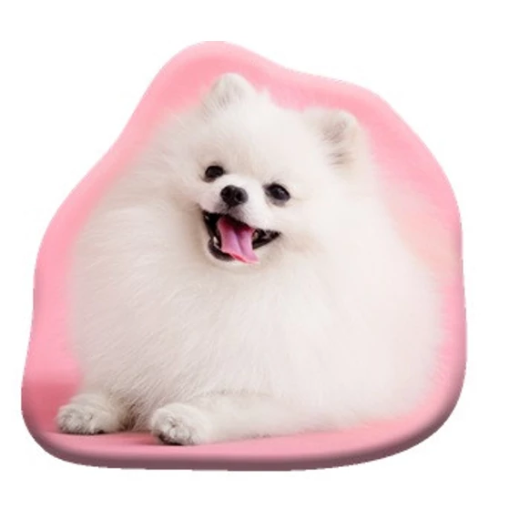 Kutyás Pomeranian formapárna, díszpárna 39x37 cm  Velúr