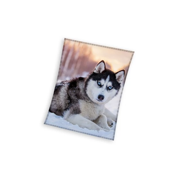 Kutyás Husky coral fleece polár takaró 150x200cm