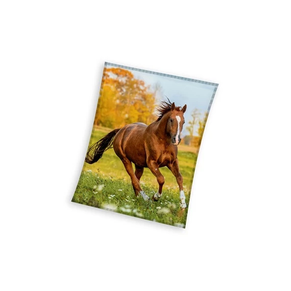 Lovas Gallop coral fleece polár takaró 150x200cm