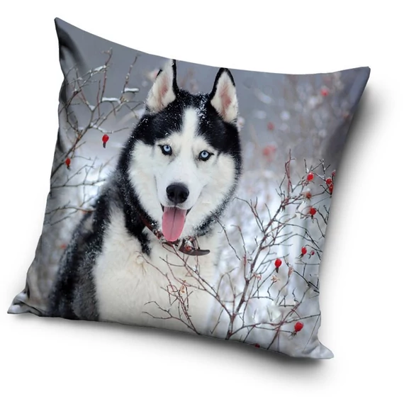 Kutyás Husky párna, díszpárna 40x40 cm