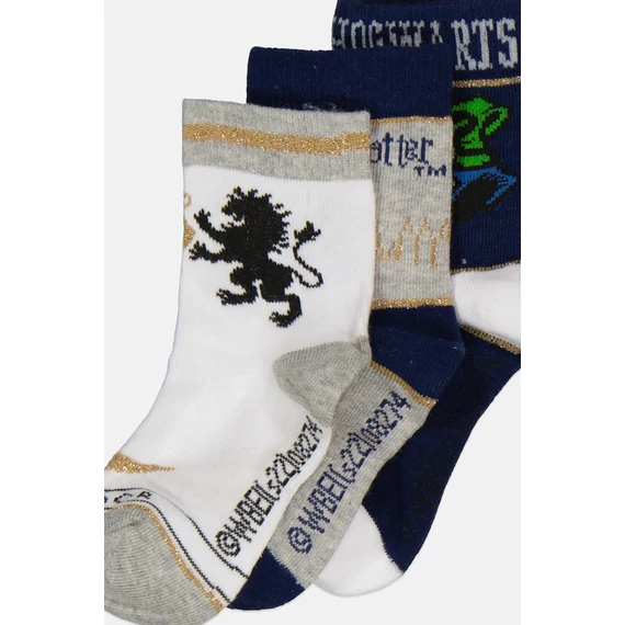 Harry Potter Hogwarts gyerek zokni 23-34