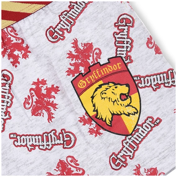 Harry Potter Red Lion gyerek boxeralsó 2 darab/csomag 10 - 12 év / 140 - 152 cm