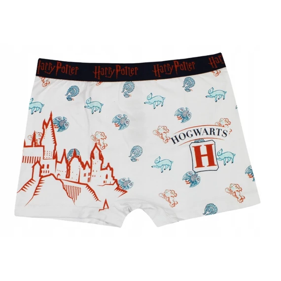 Harry Potter Castle Blue gyerek boxeralsó 2 darab/csomag 10 - 12 év / 140 - 152 cm