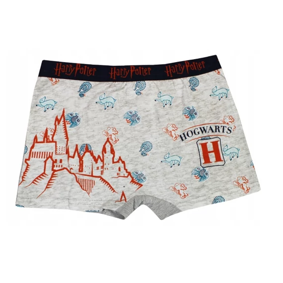 Harry Potter Castle gyerek boxeralsó 2 darab/csomag 10 - 12 év / 140 - 152 cm