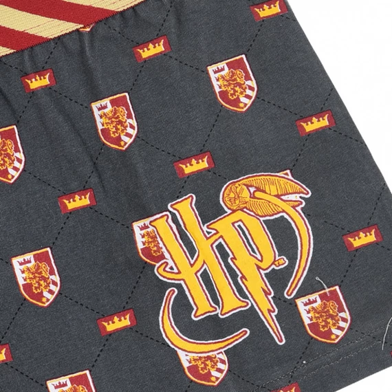 Harry Potter Lion gyerek boxeralsó 2 darab/csomag 10 - 12 év / 140 - 152 cm