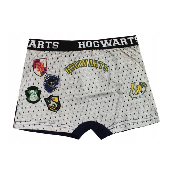 Harry Potter Hogwarts House gyerek boxeralsó 2 darab/csomag 10 - 11 év / 140 - 146 cm