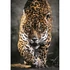 Walk of the Jaguar 1000 db-os puzzle Clementoni
