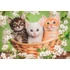Állatos Brothers in Fur 2x60 db-os puzzle Clementoni