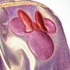 Disney Minnie Holo divattáska, táska fényes, csillámos 36 cm