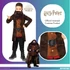 Harry Potter Hagrid jelmez 4-6 év