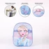 Disney Jégvarázs Friendship 3D hátizsák, táska 31 cm