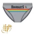 Harry Potter Hogwarts Light gyerek fürdőnadrág, úszó 12 év / 152 cm
