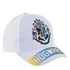 Harry Potter Hogwarts Grey gyerek baseball sapka 52-54 cm